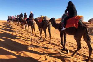 day and night camel trek merzouga 2