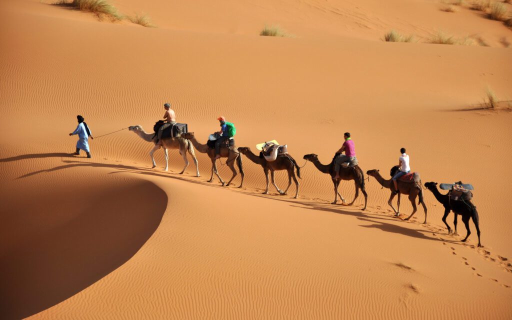 camel ride deser tours from fes marrakech